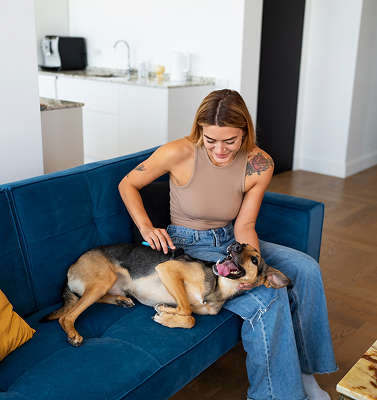 Mujer sofa azul con perro en casa convivencia animal